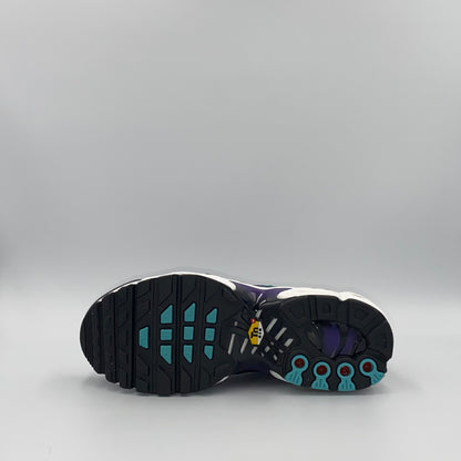 Nike Air Max Plus (GS) - Reverse Grape - 36